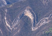 Alla Madonnina del Costone (1195 m) da Salmezza con tanti fiori-25mar24-FOTOGALLERY